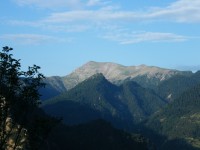 Η ΤΡΙΑΝΤΑΦΥΛΙΑ ΣΤΟ ΠΡΩΙΝΟ ΦΩΣ.jpg