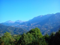 DSC_2204.jpg