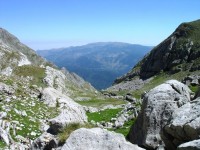 DSC09176.jpg