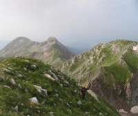 eukolo.JPG