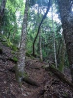 Image00002.jpg