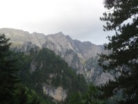 Image00003.jpg