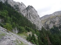 Image00004.jpg