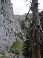 Image00005.jpg