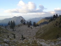 Image00016.jpg