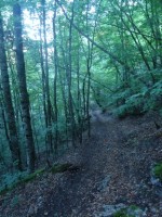 Image00018.jpg