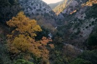 ΤΟ ΡΕΜΑ ΠΡΟΣ ΤΗΝ ΕΞΟΔΟ ΤΟΥ.jpg