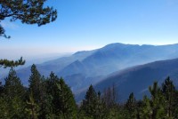 view.jpg
