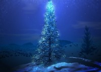 christmas-tree-under-stars.jpg