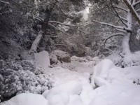 CAM11088.jpg