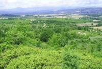 PIC_5306b.jpg