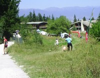 PIC_5389s.jpg