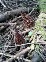 20150501_152308.jpg