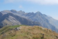 DSC_0236.jpg