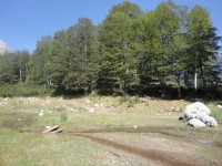 Image00006.jpg