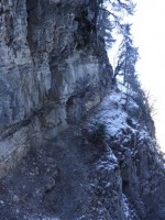 Image00007.jpg