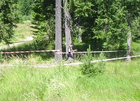 PIC_5527b.jpg