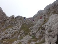 DSC01474 - Copy-opt.jpg