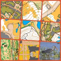 collage1.jpg