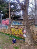 IMG_20250223_093216_1.jpg