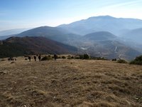 15 Ανηφορίζοντας στο «Μουρίκι».  .JPG
