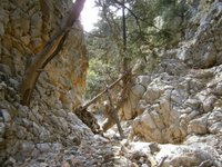φυσικά εμπόδια ομορφαινουν την διαδρομη.JPG
