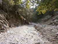 όμορφη διαδρομη.JPG